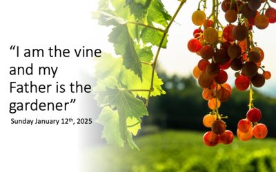 “I am the true vine and my Father is the gardener”